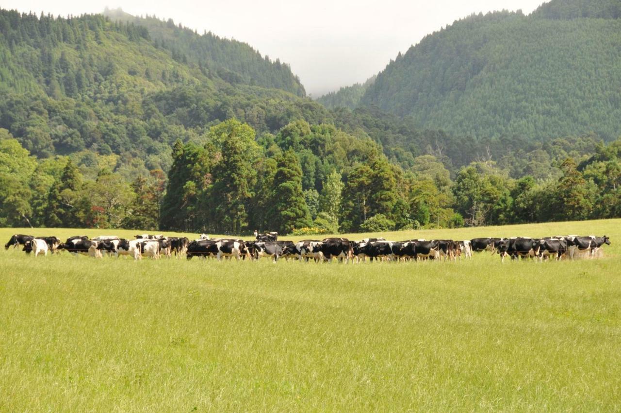 #Areias Houses 7 Furnas (Azores) Exterior foto